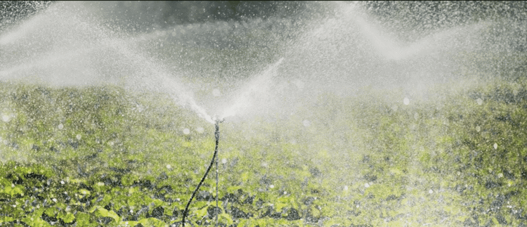 Sprinkler Irrigation System Kits: Sprinklers, Micro Sprinklers, Mini Sprinklers, And Special Emitters.